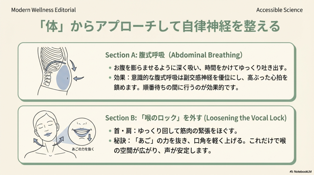 腹式呼吸の解剖図。お腹を膨らませて吸い、ゆっくり吐き出すことで副交感神経を優位にする効果を解説している。