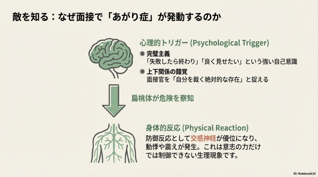 脳のイラストから身体の神経系へ矢印が伸びている図。完璧主義や上下関係の錯覚といった心理的トリガーが、扁桃体を通じて身体的反応を引き起こす仕組みを解説。