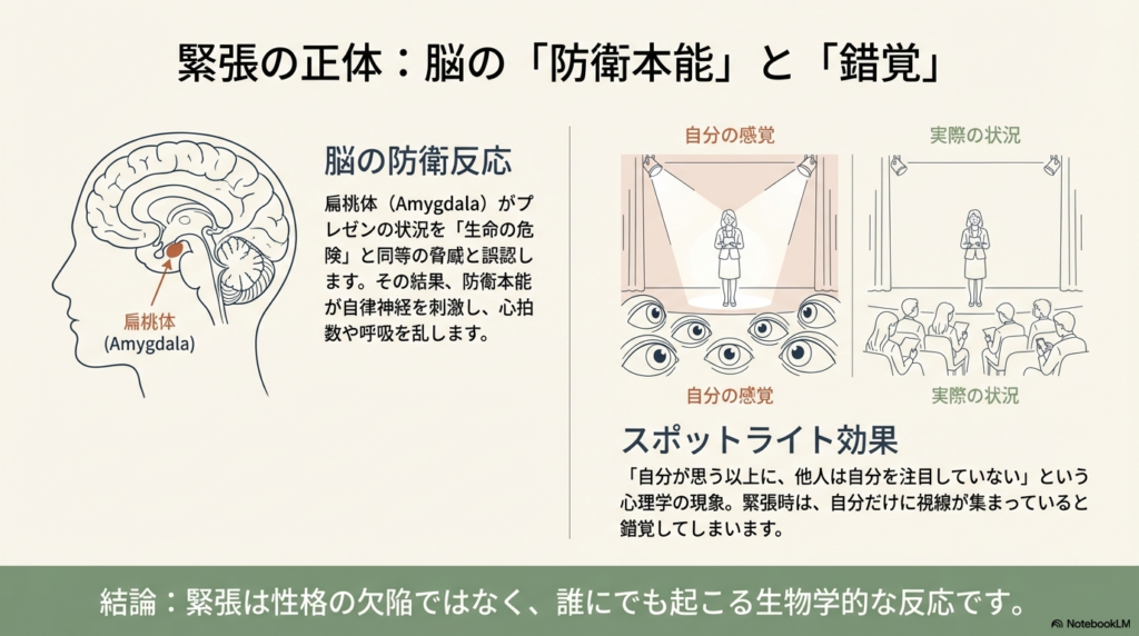 脳の扁桃体（Amygdala）がプレゼンを「生命の危険」と誤認する仕組みの図解。あわせて、自分が思う以上に他人が自分を注目していない「スポットライト効果」を、舞台上の人物と観客の視線の錯覚で表現している。